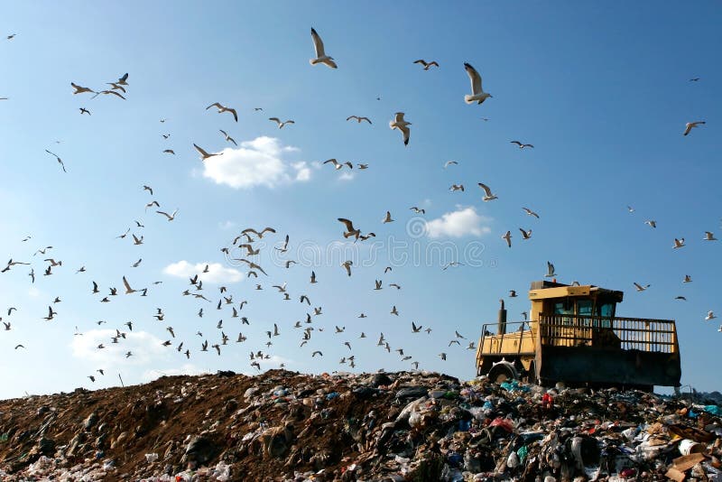 Landfill with bulldozer working, against beautiful blue sky full of sea birds. Great for environment and ecological themes. Landfill with bulldozer working, against beautiful blue sky full of sea birds. Great for environment and ecological themes