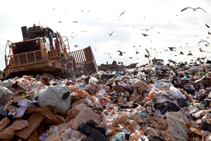 Truck working in landfill with birds looking for food. Truck working in landfill with birds looking for food.