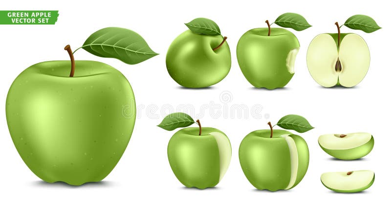 Măr verde copt de fructe realiste 3d. versiune întreagă și feliată stock illustration