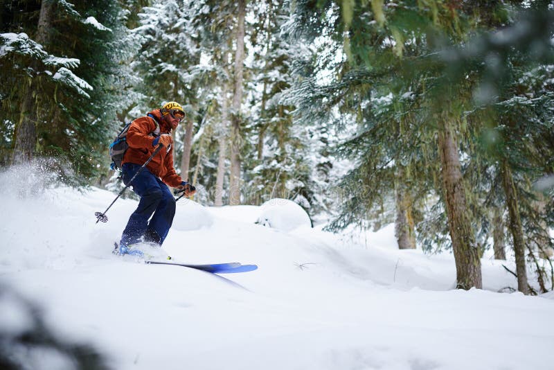 Mężczyzna narciarka jedzie freeride na prochowym śniegu w lesie obraz stock Mężczyzna narciarka jedzie freeride na prochowym śniegu w lesie obraz stock