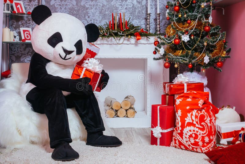 Mężczyzna ubierał jako panda trzyma Bożenarodzeniowego prezent fotografia royalty free Mężczyzna ubierał jako panda trzyma Bożenarodzeniowego prezent fotografia royalty free