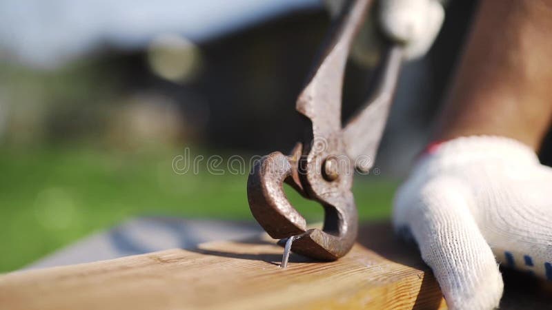 Mężczyzna w pracujących rękawiczkach ciągnie out młotkującego gwóźdź od drewna ośniedziałą gwóźdź ciągarką outdoors, podwórko han zbiory wideo Mężczyzna w pracujących rękawiczkach ciągnie out młotkującego gwóźdź od drewna ośniedziałą gwóźdź ciągarką outdoors, podwórko han zbiory wideo
