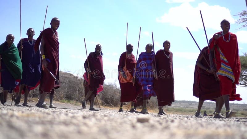 Mężczyźni z afrykańskiego plemienia maasai chodzący i skaczący 120fps zwolniony ruch