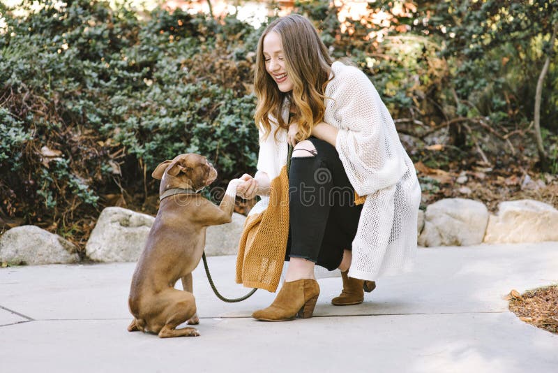 Młoda biała kobieta Trząść ręki z Jej Boston Terrier zwierzęcia domowego psa uśmiechami Szczęśliwymi zdjęcia stock Młoda biała kobieta Trząść ręki z Jej Boston Terrier zwierzęcia domowego psa uśmiechami Szczęśliwymi zdjęcia stock