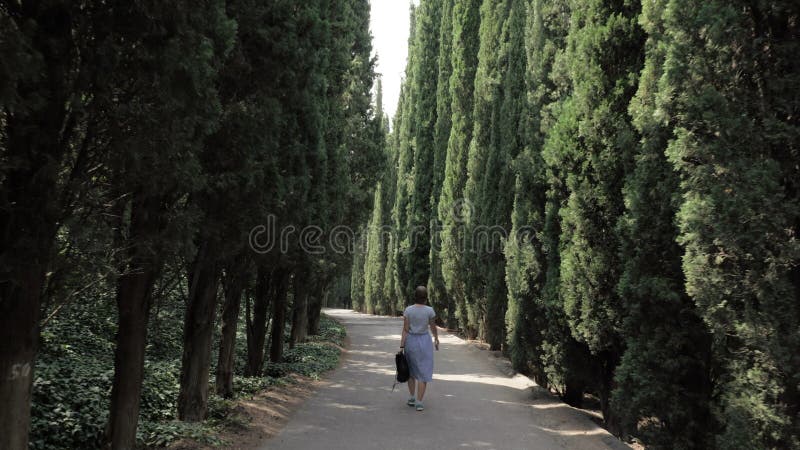 Młoda dziewczyna chodzi w cyprysowej alei w Tbilisi botanicznym parku - Gruzja