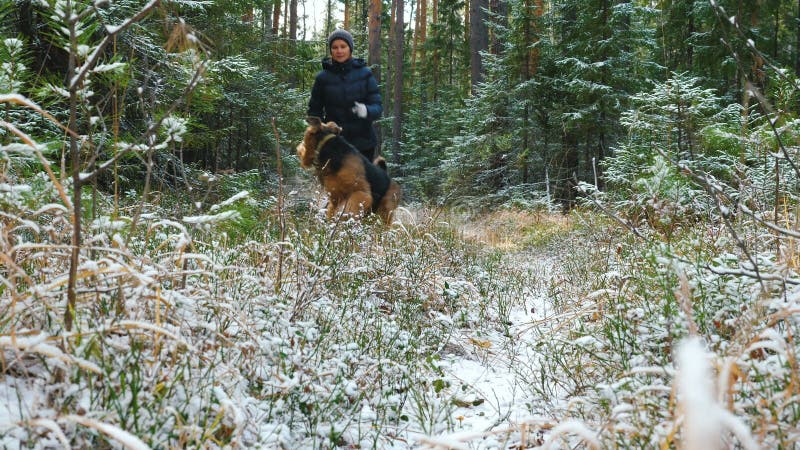 Młoda kobieta biega w lesie z Airedale Terrier psem