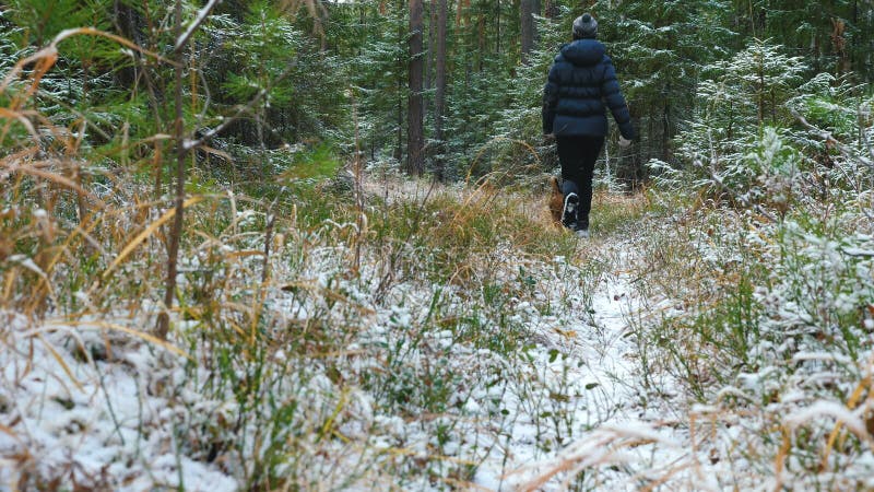 Młoda kobieta biega w lesie z Airedale Terrier psem