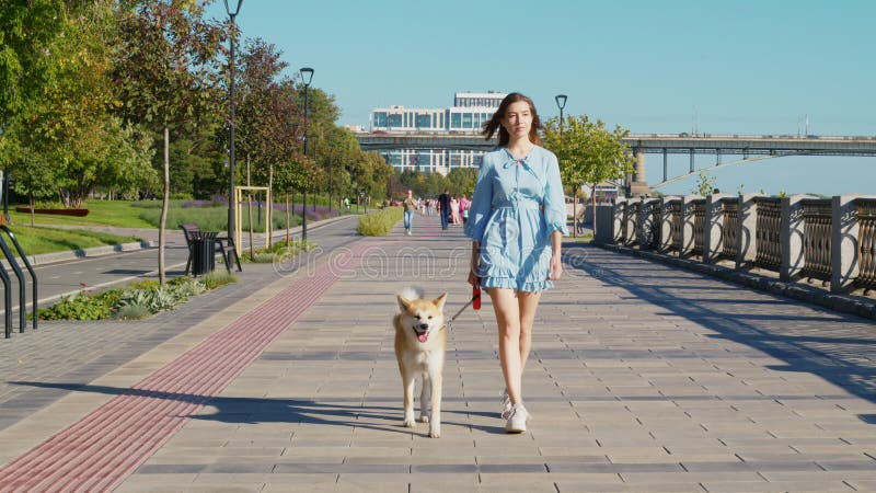 Młoda kobieta z akita inu w parku miejskim