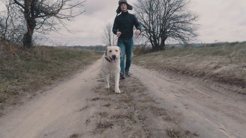Młodego człowieka odprowadzenie z jego psem wzdłuż drogi gruntowej zbiory wideo Młodego człowieka odprowadzenie z jego psem wzdłuż drogi gruntowej zbiory wideo