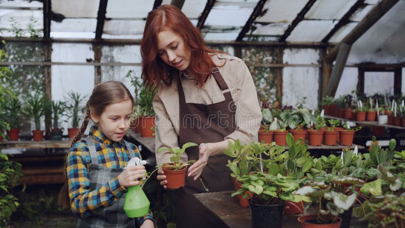 Młodej kobiety wykwalifikowana ogrodniczka uczy jej ciekawej małej córki obmycie liście zielony garnka plantst z kiścią zbiory wideo Młodej kobiety wykwalifikowana ogrodniczka uczy jej ciekawej małej córki obmycie liście zielony garnka plantst z kiścią zbiory wideo