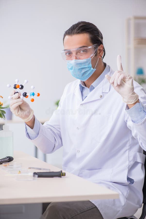 Młody chemik pracujący w laboratorium zdjęcia stock Młody chemik pracujący w laboratorium zdjęcia stock