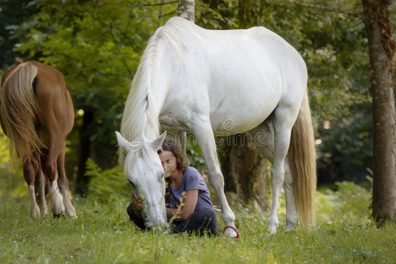 Młody horsewoman z jej białym koniem pokazuje więzi dzięki naturalny dressage w lesie w Pontevedra, Hiszpania fotografia royalty free Młody horsewoman z jej białym koniem pokazuje więzi dzięki naturalny dressage w lesie w Pontevedra, Hiszpania fotografia royalty free