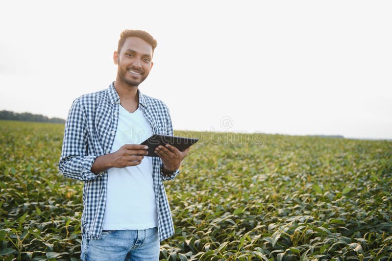 A young handsome Indian agronomist is working in a soybean field and studying the crop. A young handsome Indian agronomist is working in a soybean field and studying the crop