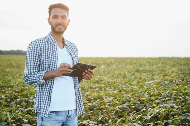 A young handsome Indian agronomist is working in a soybean field and studying the crop. A young handsome Indian agronomist is working in a soybean field and studying the crop