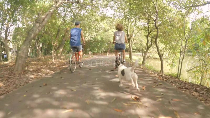 Młodzi Szczęśliwi modniś pary przejażdżki rocznika bicykle w parku z Psi Działający Niedalekim Jeździć na rowerze z zwierzęciem d zbiory Młodzi Szczęśliwi modniś pary przejażdżki rocznika bicykle w parku z Psi Działający Niedalekim Jeździć na rowerze z zwierzęciem d zbiory