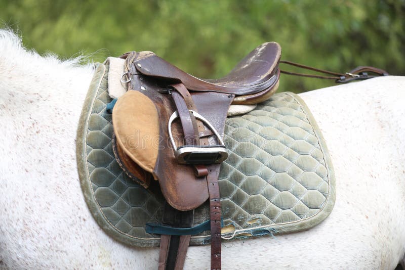 On the back of the horse, a brown leather saddle and saddle cloth are worn on top. Illuminated by sunlight ready for equestrian training outdoor. On the back of the horse, a brown leather saddle and saddle cloth are worn on top. Illuminated by sunlight ready for equestrian training outdoor