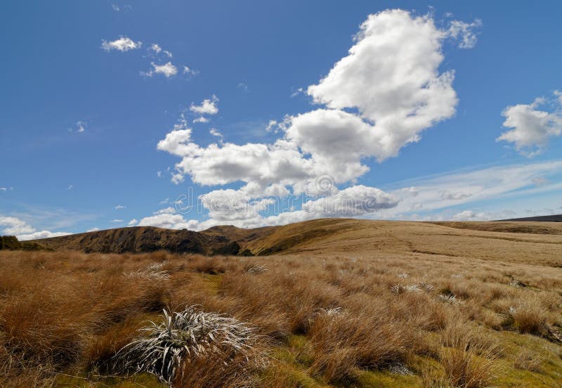 Na trasie od Balonowej budy Jeziorna łupa, Kahurangi park narodowy, Nowa Zelandia fotografia stock Na trasie od Balonowej budy Jeziorna łupa, Kahurangi park narodowy, Nowa Zelandia fotografia stock