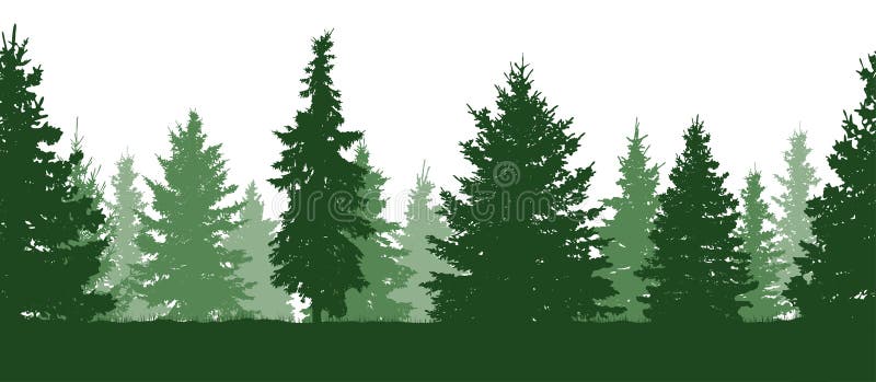Naadloos patroon Bos, groen sparrensilhouet Vector vector illustratie Naadloos patroon Bos, groen sparrensilhouet Vector vector illustratie