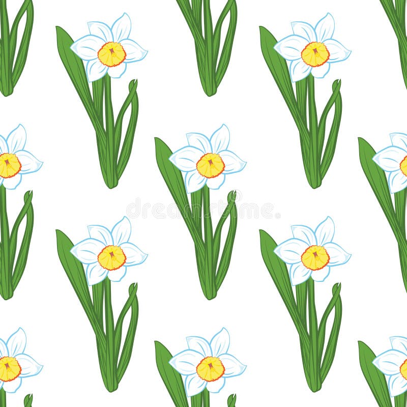 Naadloos patroon Het groene gras met blauwe narcissen bloeit zelfde die grootte op wit wordt geïsoleerd Vector illustratie stock illustratie Naadloos patroon Het groene gras met blauwe narcissen bloeit zelfde die grootte op wit wordt geïsoleerd Vector illustratie stock illustratie