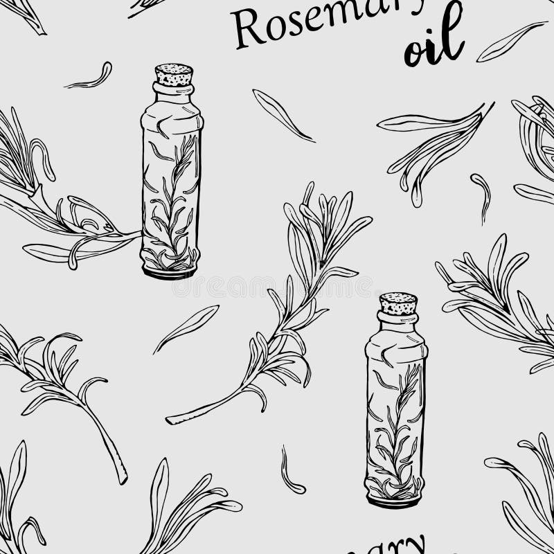 Naadloos patroon met de fles van de rozemarijnolie en rozemarijntakken stock illustratie Naadloos patroon met de fles van de rozemarijnolie en rozemarijntakken stock illustratie