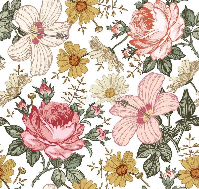 Naadloos patroon Realistische geïsoleerde bloemen Uitstekende achtergrond De kamille nam hibiscusmalve toe behang Tekeningsgravur Naadloos patroon Realistische geïsoleerde bloemen Uitstekende achtergrond De kamille nam hibiscusmalve toe behang Tekeningsgravur