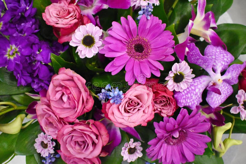 Naadloze achtergrond van kleurrijke bloemen royalty-vrije stock afbeelding Naadloze achtergrond van kleurrijke bloemen royalty-vrije stock afbeelding