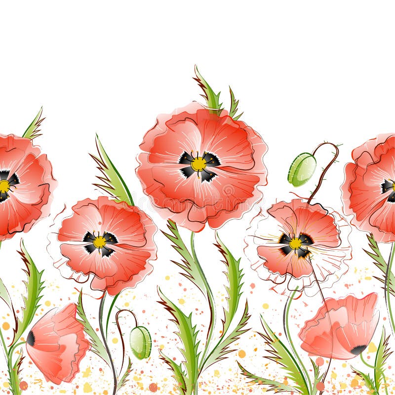 Vector seamless pattern with red gentle poppy flowers on the white background. Vector seamless pattern with red gentle poppy flowers on the white background