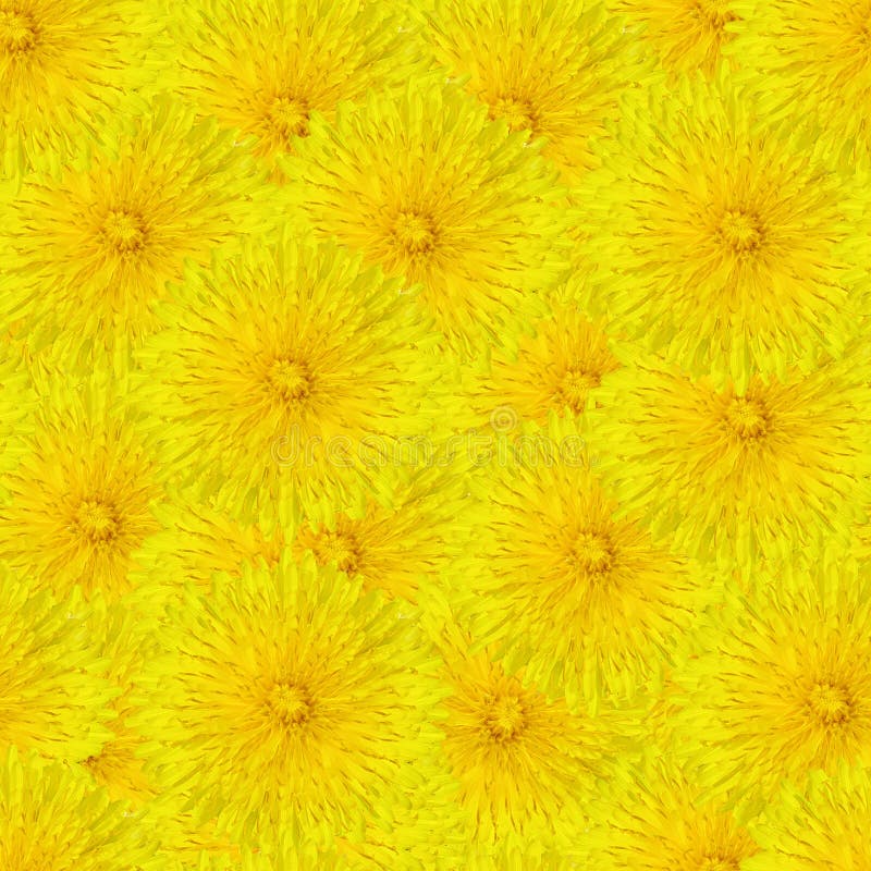 Seamless tileable pattern with dandelion flowers. Seamless tileable pattern with dandelion flowers