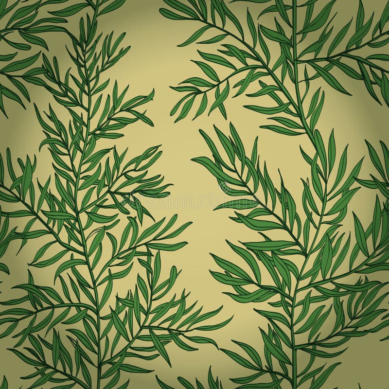 Naadloze uitstekende achtergrond met groene rozemarijn royalty-vrije illustratie Naadloze uitstekende achtergrond met groene rozemarijn royalty-vrije illustratie