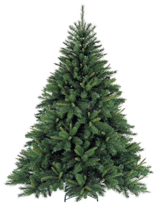 Naakte Kerstboom Zonder Decoratie Stock Foto - Image Of Hout, Niemand:  45827906