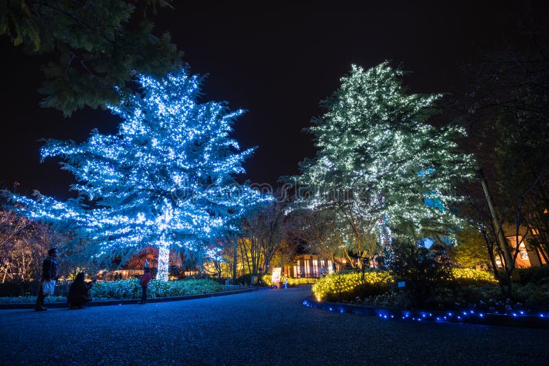 Nabana geen verlichting van de satowinter stock afbeelding Nabana geen verlichting van de satowinter stock afbeelding