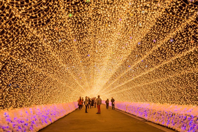Nabana geen verlichting van de satowinter royalty-vrije stock afbeelding Nabana geen verlichting van de satowinter royalty-vrije stock afbeelding