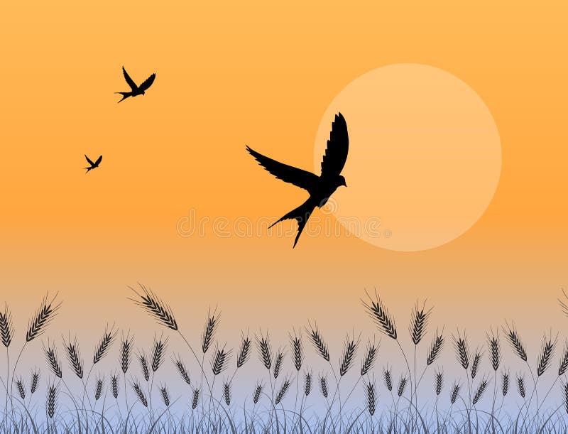 nad dymówki banatką śródpolny latanie ilustracja wektor nad dymówki banatką śródpolny latanie ilustracja wektor