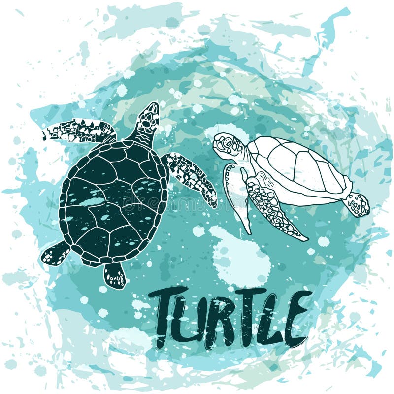 Nadada de las tortugas en el océano libre illustration Nadada de las tortugas en el océano libre illustration