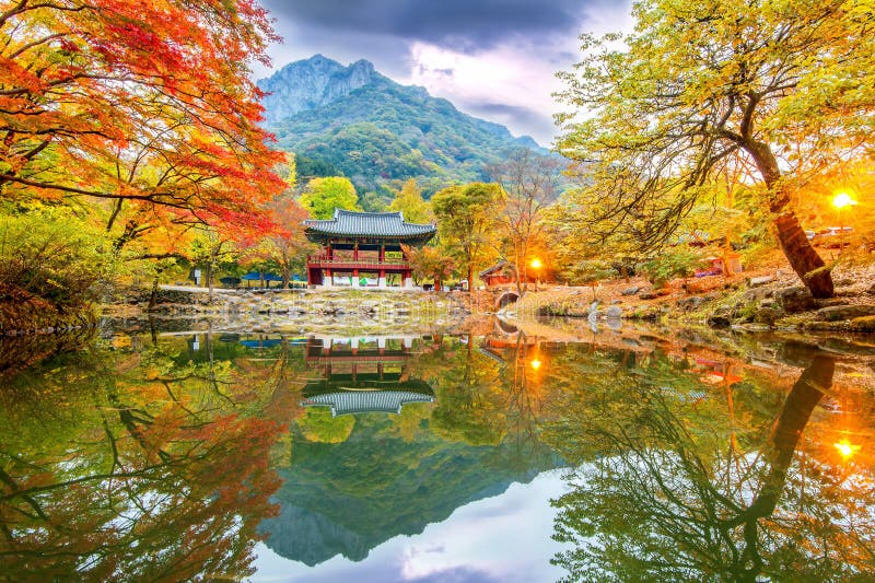 NAEJANGSAN,KOREA - NOVEMBER 1: Tourists taking photos of the beautiful scenery around Naejangsan park,South Korea during autumn season on November 1, 2015. NAEJANGSAN,KOREA - NOVEMBER 1: Tourists taking photos of the beautiful scenery around Naejangsan park,South Korea during autumn season on November 1, 2015.