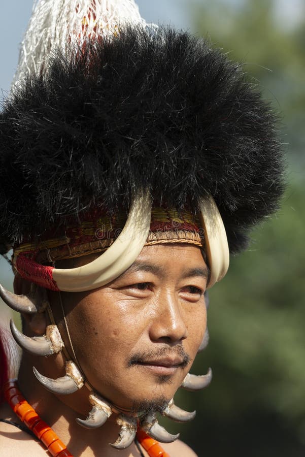 Naga-Stammes- Kriegers-Porträt am Hornbillfestival, Kohima, Nagaland, Indien am 1. Dezember 2013 lizenzfreies stockbild Naga-Stammes- Kriegers-Porträt am Hornbillfestival, Kohima, Nagaland, Indien am 1. Dezember 2013 lizenzfreies stockbild