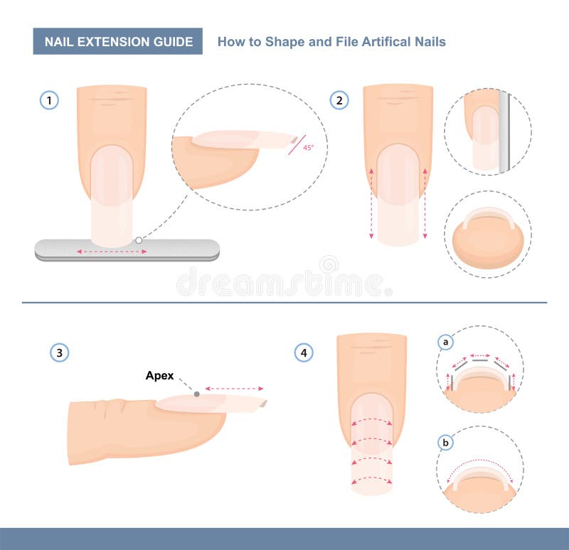 Nail extension guide. How to Shape and File Artificial Nails the Right Way. Step by Step Instruction. Professional Manicure Tutorial. Vector illustration. Nail extension guide. How to Shape and File Artificial Nails the Right Way. Step by Step Instruction. Professional Manicure Tutorial. Vector illustration