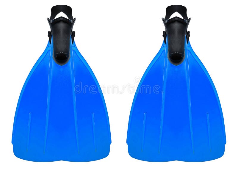 Nageoires bleues images libres de droits