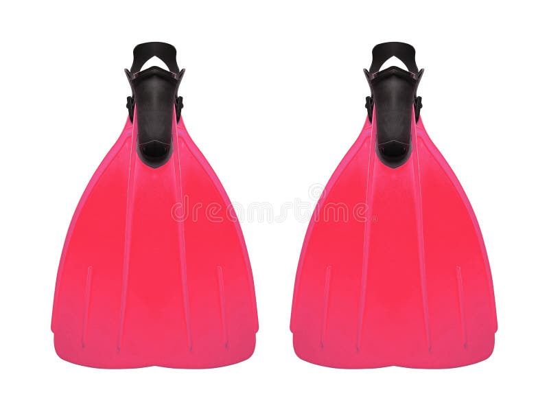 Nageoires d'isolement sur le blanc image stock