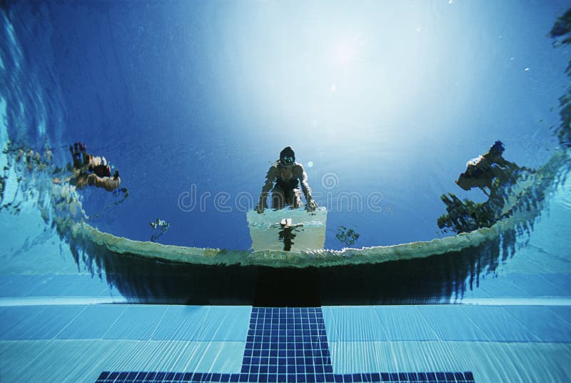 Nageurs prêts à Dive In Pool images stock Nageurs prêts à Dive In Pool images stock