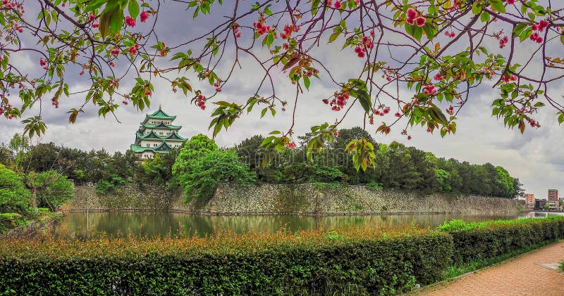 Nagoya Castle Main Keep Framed by Pink Spring Blossoms stock photo