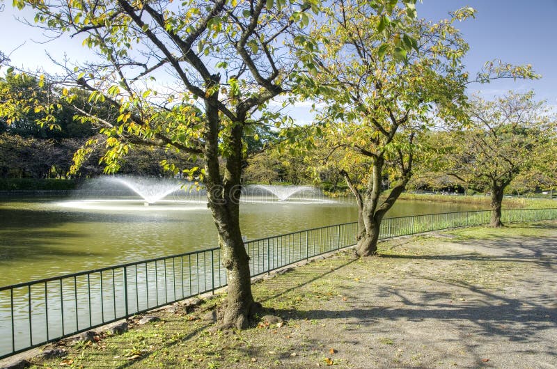 Nagoya- - Meijo-Park, Japan lizenzfreie stockfotografie Nagoya- - Meijo-Park, Japan lizenzfreie stockfotografie