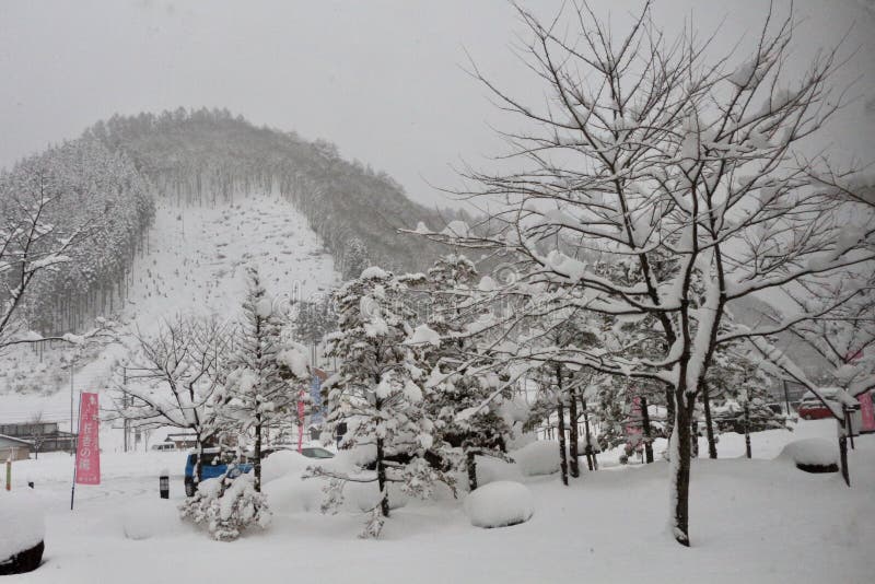 Nagoya snow scene editorial photography. Image of scene 192137602