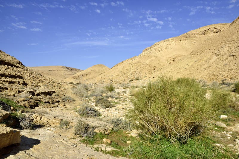 Nahal Zafit in Negev desert.