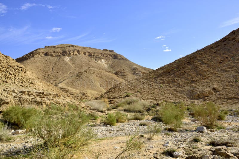 Nahal Zafit in Negev desert.