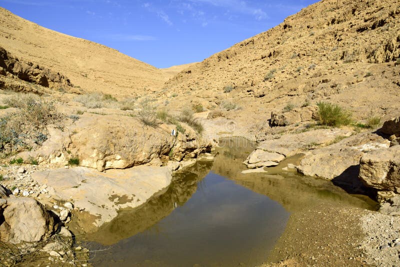 Nahal Zafit in Negev desert.