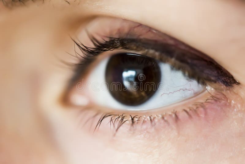 Nahaufnahme des Brauns des menschlichen Auges, Makromodus stockfoto Nahaufnahme des Brauns des menschlichen Auges, Makromodus stockfoto
