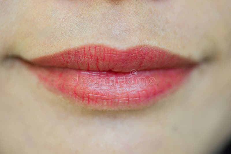 Nahaufnahme des geschlossenen weiblichen Munds mit den vollen Lippen stockbilder Nahaufnahme des geschlossenen weiblichen Munds mit den vollen Lippen stockbilder