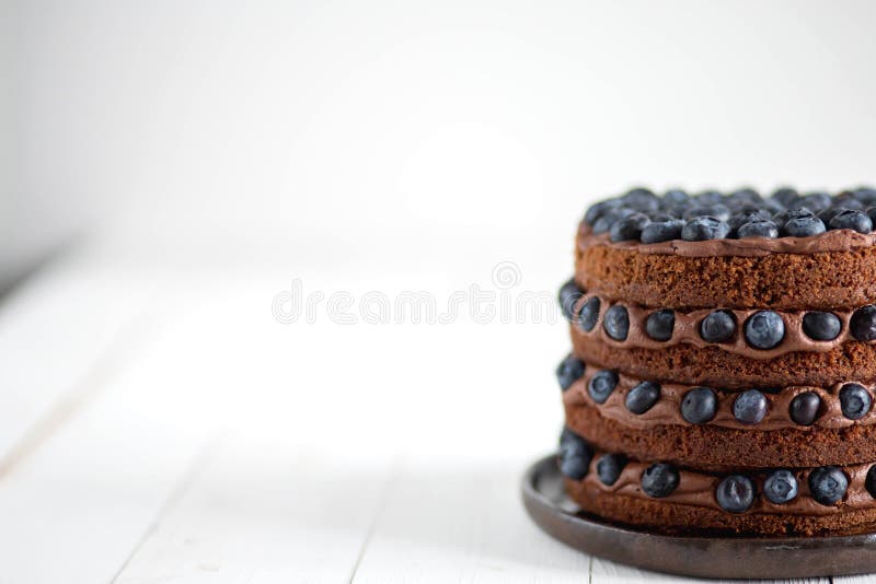 Nahaufnahme des köstlichen Kuchens der Schokolade mit Blaubeeren auf einem weißen Hintergrund lizenzfreie stockfotografie Nahaufnahme des köstlichen Kuchens der Schokolade mit Blaubeeren auf einem weißen Hintergrund lizenzfreie stockfotografie