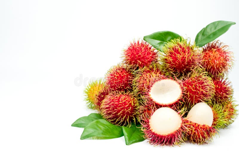 Nahaufnahme frischen roten reifen Rambutan Nephelium lappaceum stockbilder Nahaufnahme frischen roten reifen Rambutan Nephelium lappaceum stockbilder